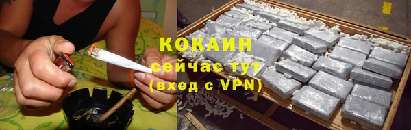 ГАЛЛЮЦИНОГЕННЫЕ ГРИБЫ Новозыбков