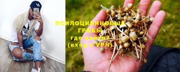 крисы Инсар